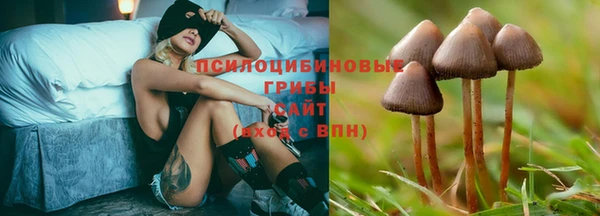 прущая мука Абдулино