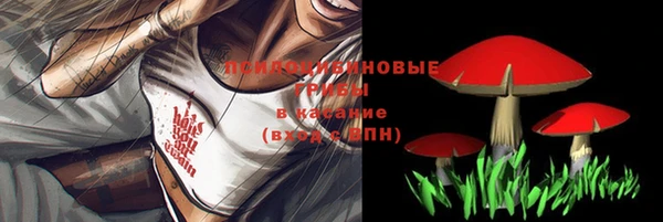 ALPHA PVP Лихославль