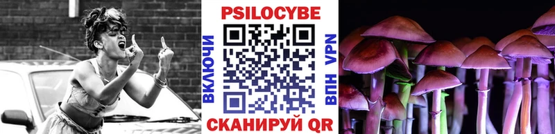 цены   Холм  Псилоцибиновые грибы мицелий 